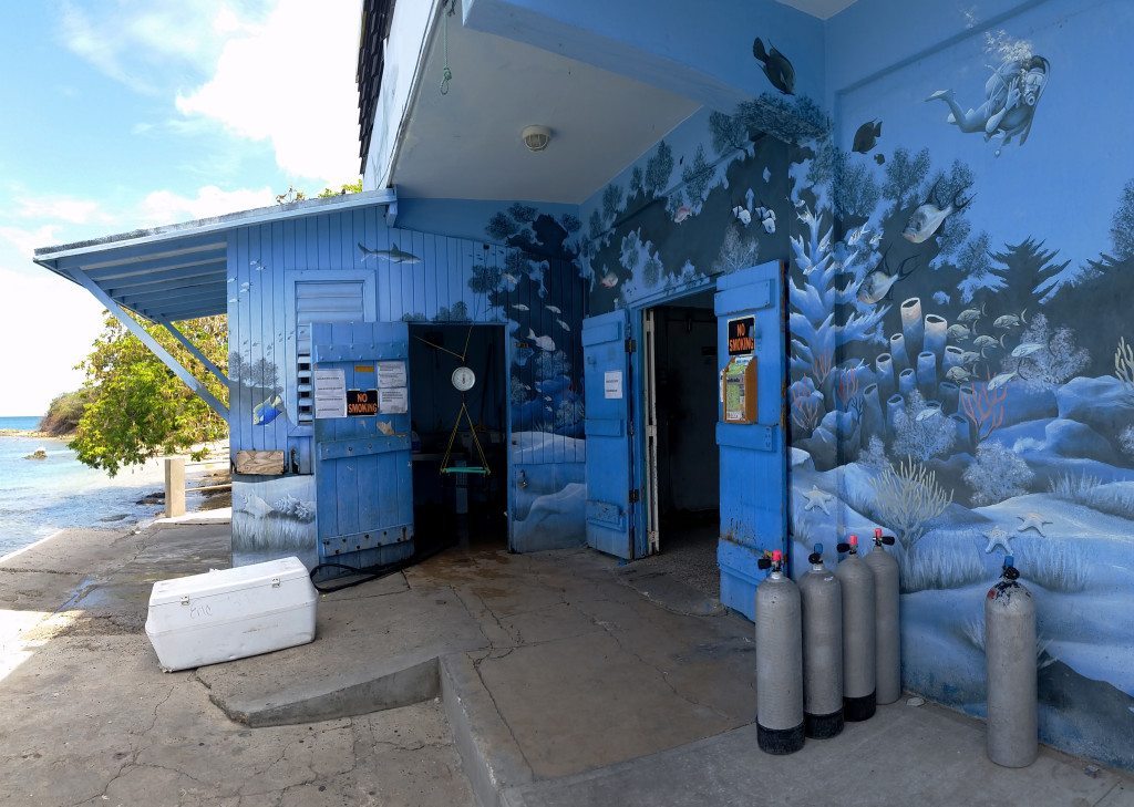 5 foodie gems in Vieques Purto Rico