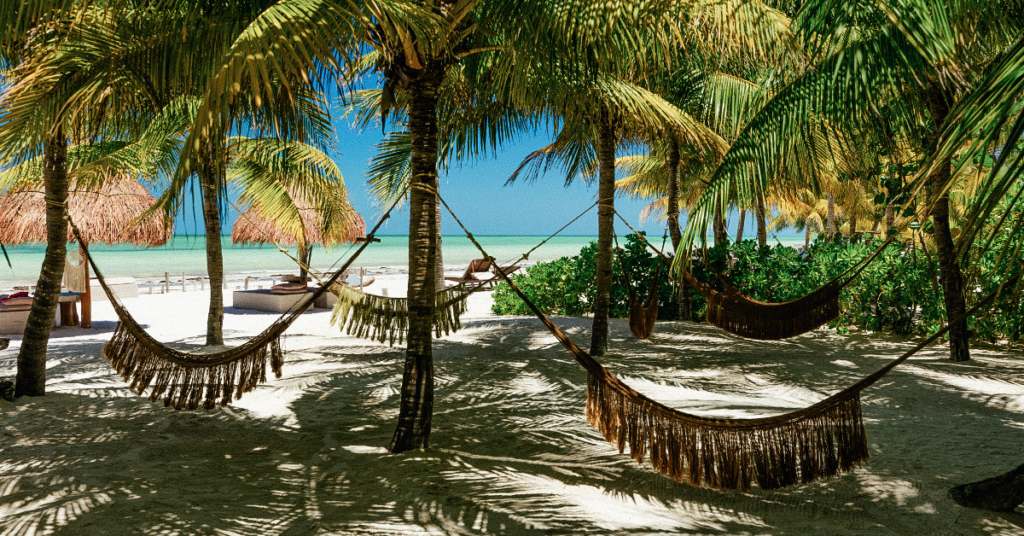 Isla Holbox, view of the beaches and palm trees