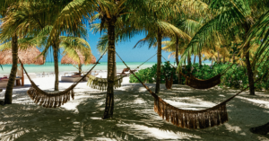 Isla Holbox, view of the beaches and palm trees